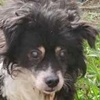 Loki R Ukraine